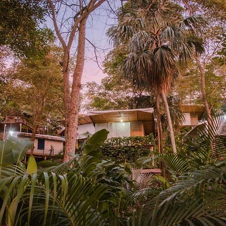 Serrano Tayrona Lodge Ел Заино Екстериор снимка