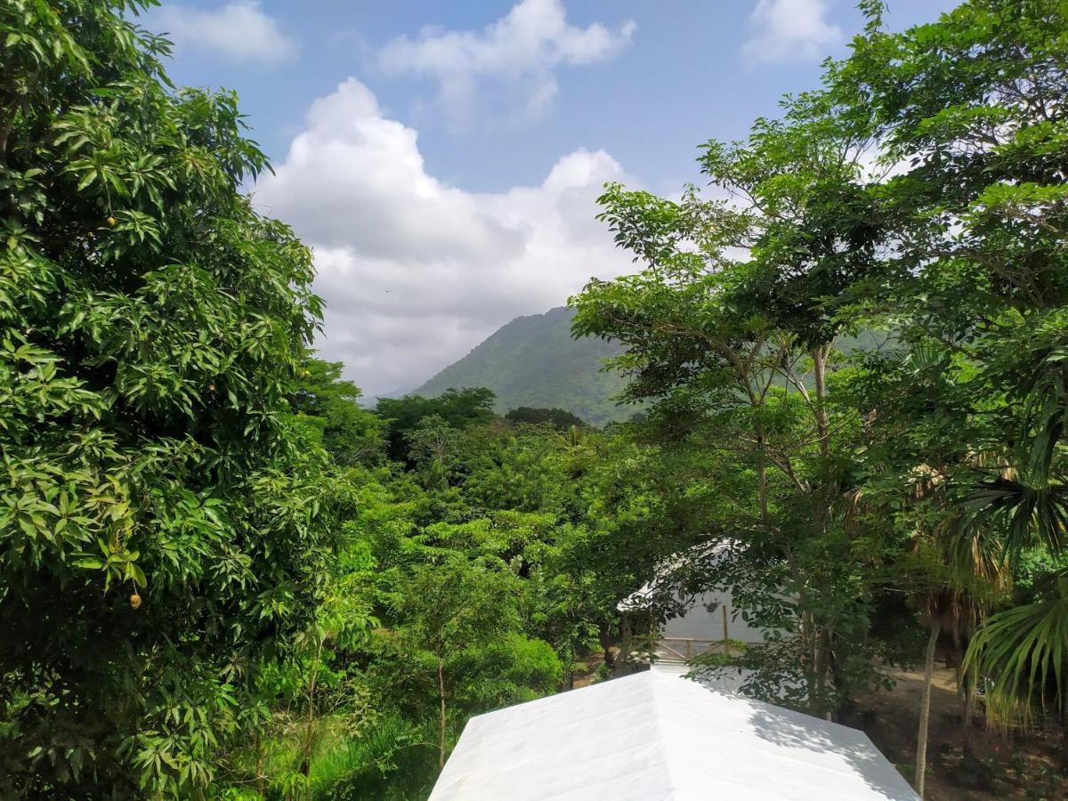 Serrano Tayrona Lodge Ел Заино Екстериор снимка
