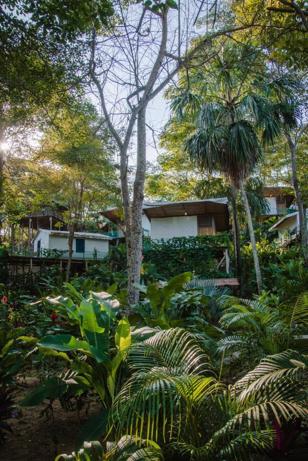 Serrano Tayrona Lodge Ел Заино Екстериор снимка