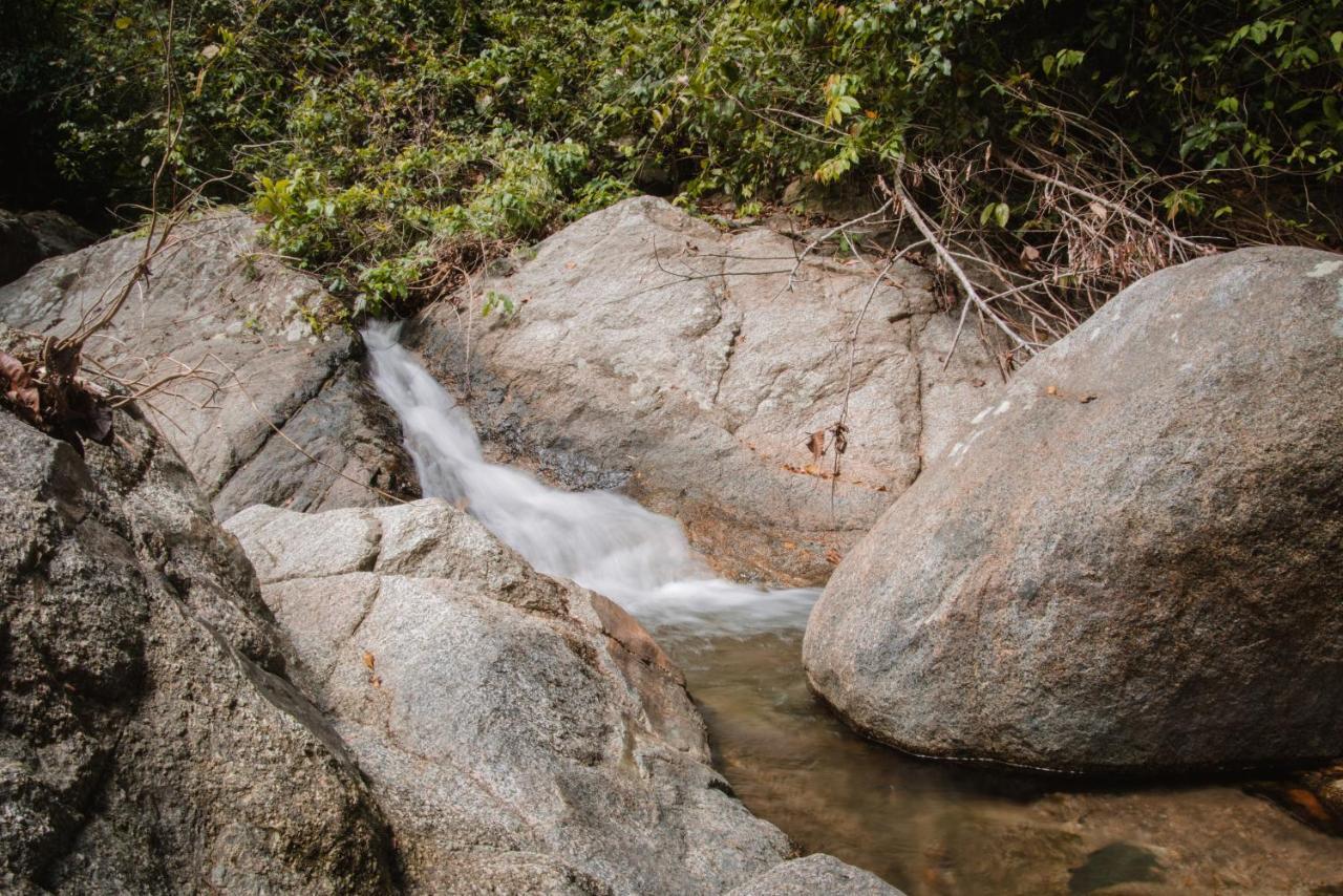 Serrano Tayrona Lodge Ел Заино Екстериор снимка