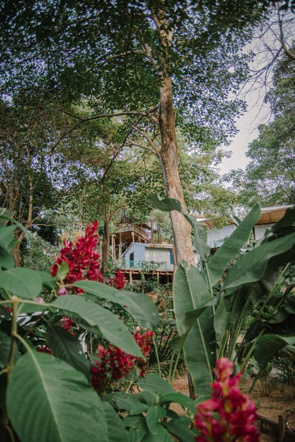Serrano Tayrona Lodge Ел Заино Екстериор снимка