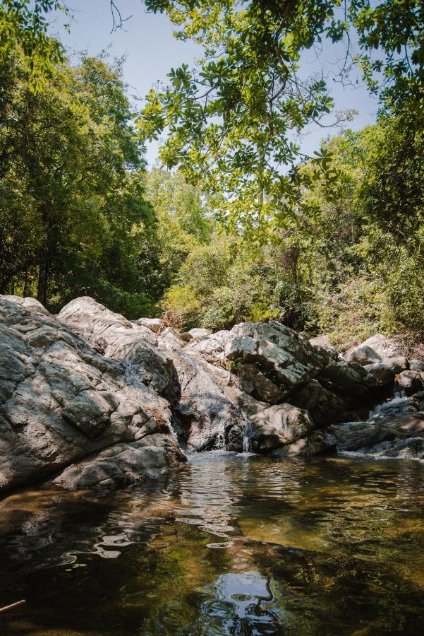 Serrano Tayrona Lodge Ел Заино Екстериор снимка
