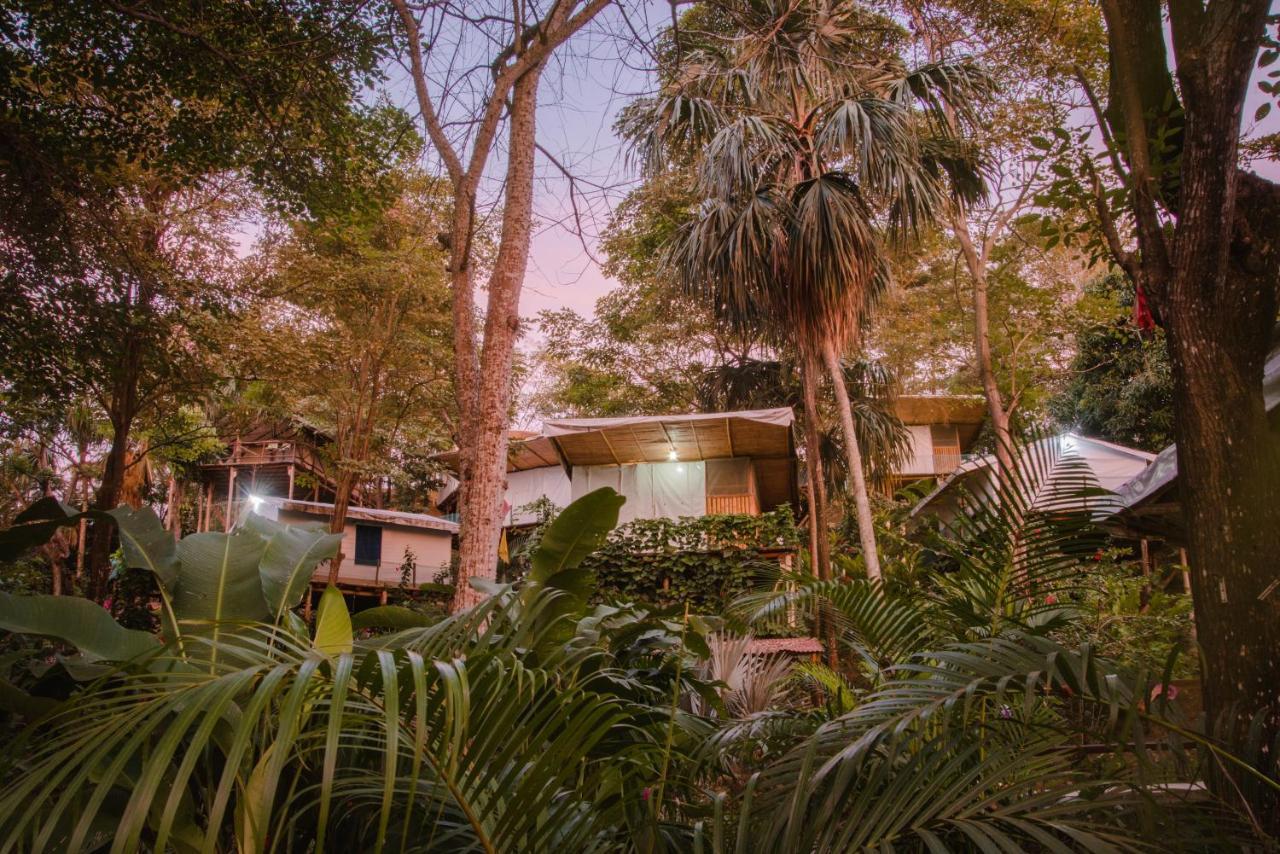 Serrano Tayrona Lodge Ел Заино Екстериор снимка