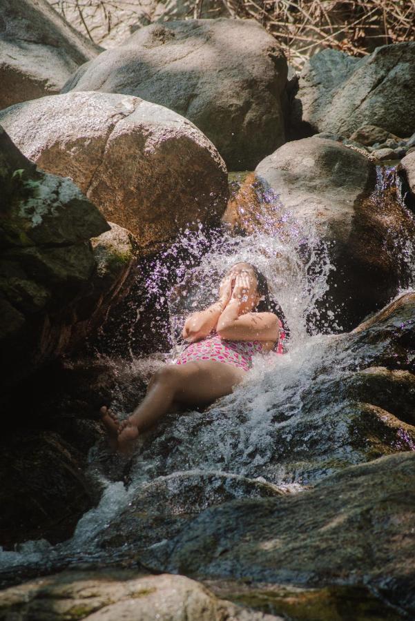 Serrano Tayrona Lodge Ел Заино Екстериор снимка